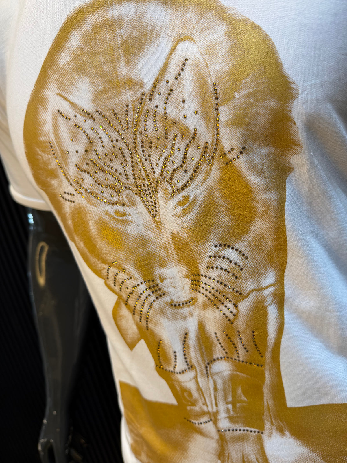 WALKING WOLF