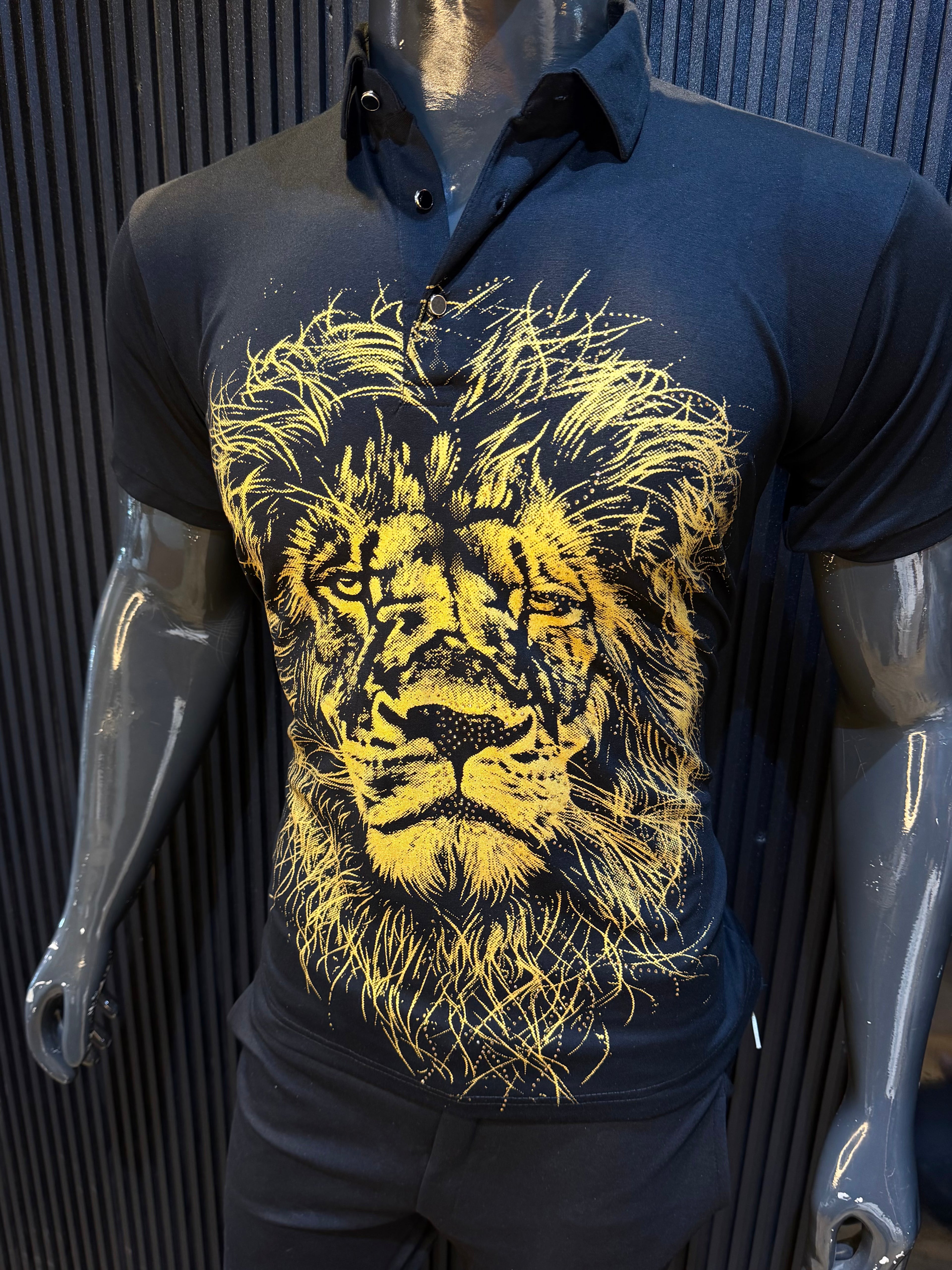 SIMBA LION