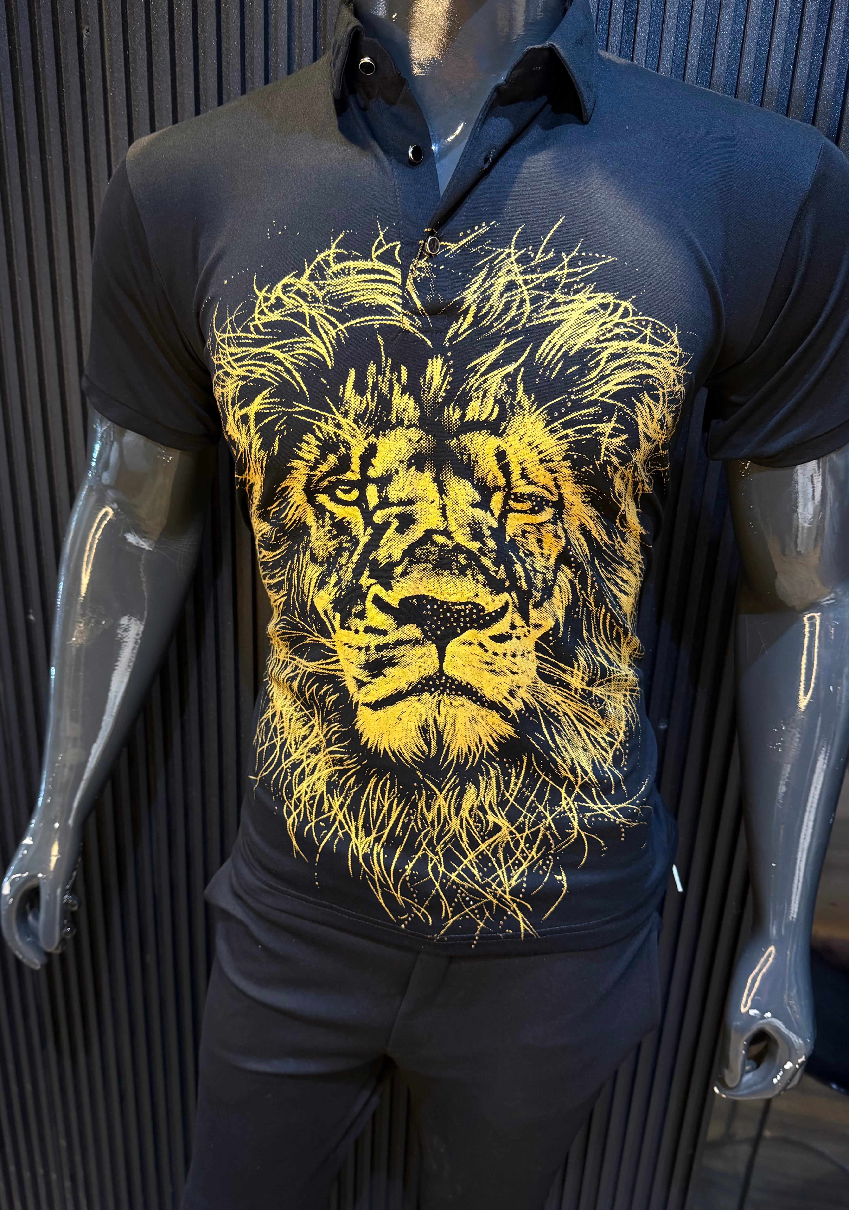 SIMBA LION