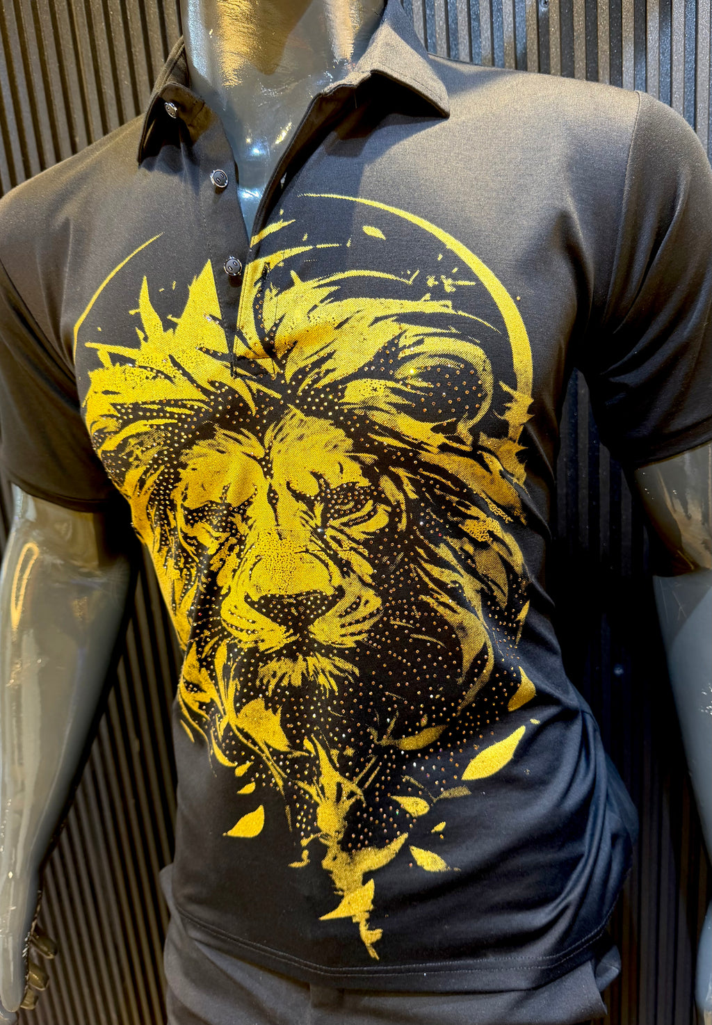 CAESAR LION