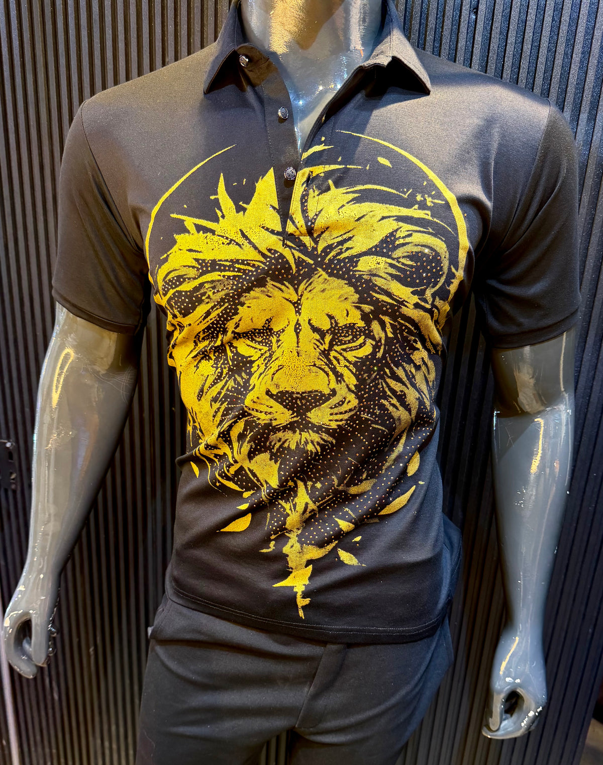 CAESAR LION
